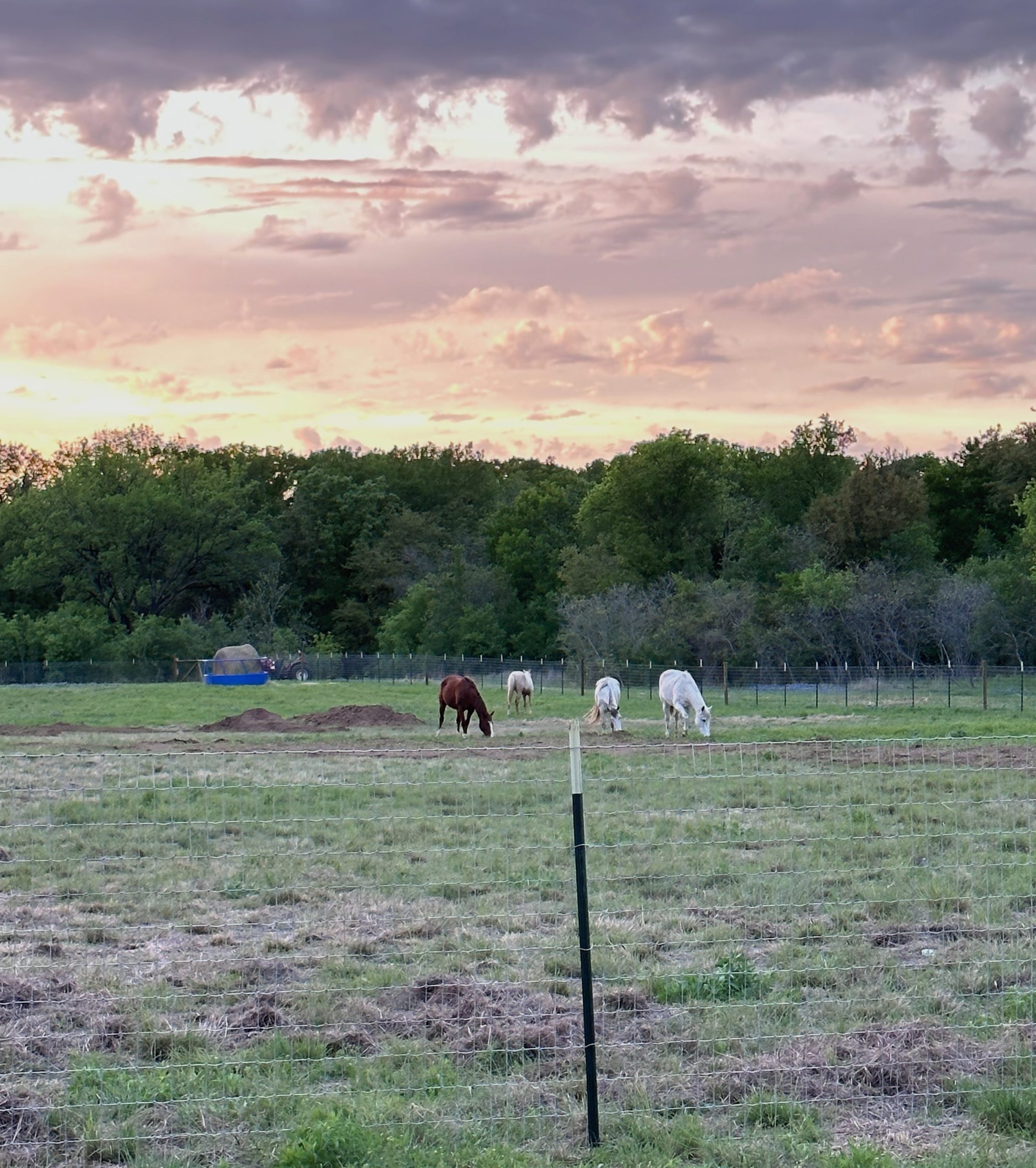 The Fence Is Done, Dude!
